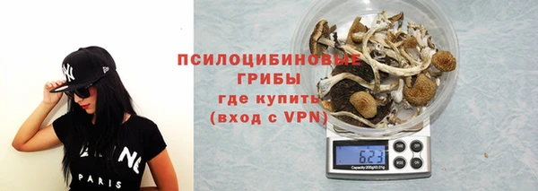 стаф Краснослободск