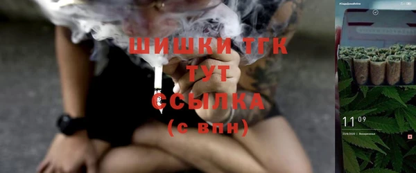 стаф Краснослободск
