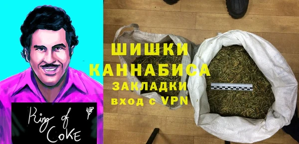 стаф Краснослободск