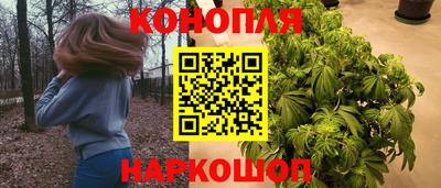 прущие грибы Абинск