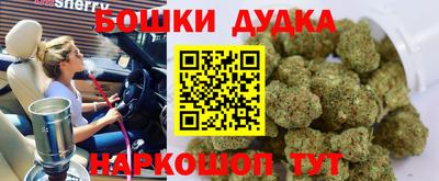 прущие грибы Абинск