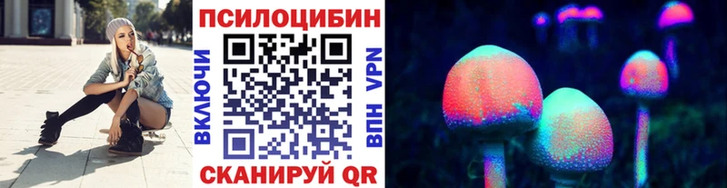 купить  сайты  Альметьевск  Псилоцибиновые грибы Magic Shrooms 