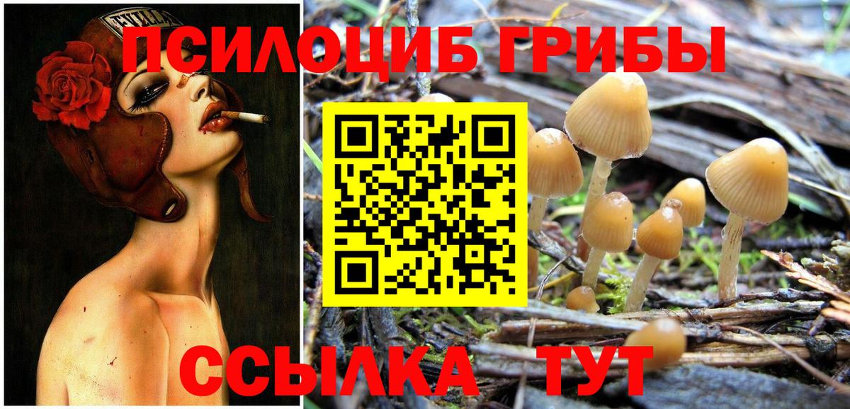 Галлюциногенные грибы Magic Shrooms  Вход с VPN  Альметьевск 
