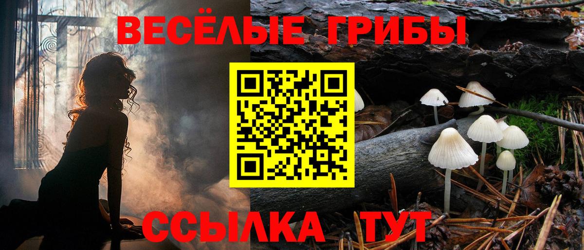 Псилоцибиновые грибы Psilocybine cubensis Альметьевск